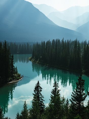 Обои 1620x2160 Канада, река, лес