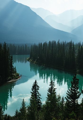 Canada, river, forest Wallpaper 1668x2388