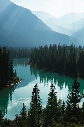 Canada, river, forest Wallpaper 640x960