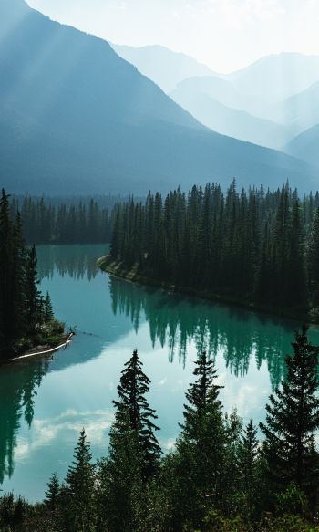 Canada, river, forest Wallpaper 1200x2000