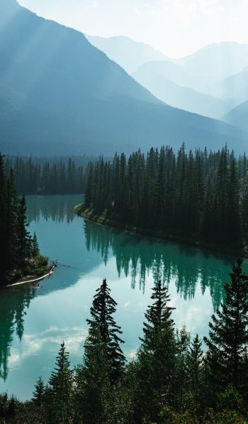 Canada, river, forest Wallpaper 600x1024