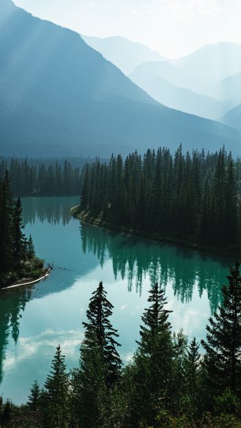 Обои 640x1136 Канада, река, лес