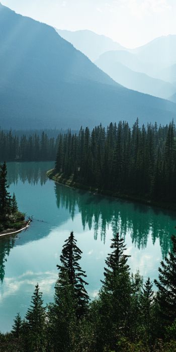 Обои 720x1440 Канада, река, лес
