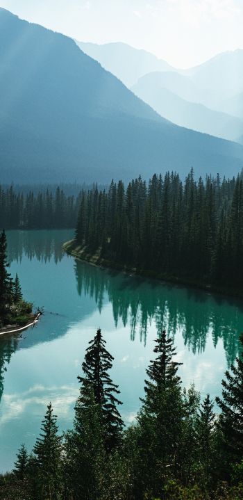 Canada, river, forest Wallpaper 1080x2220