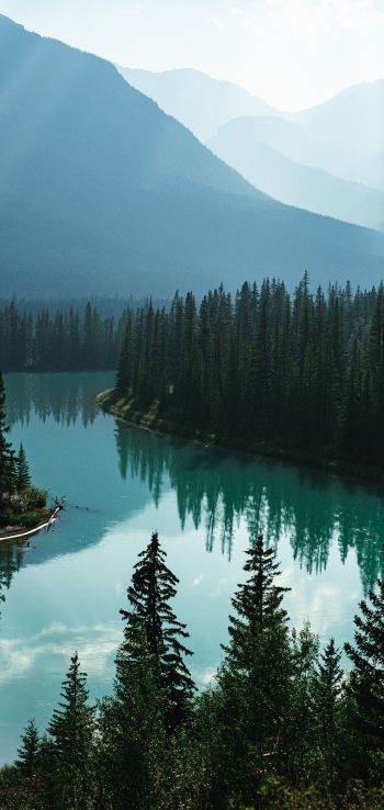 Обои 1440x3040 Канада, река, лес