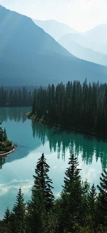 Canada, river, forest Wallpaper 1284x2778