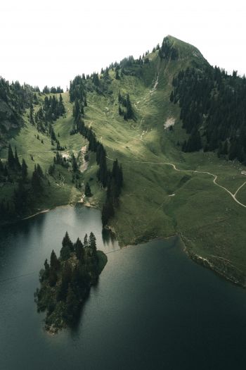 Switzerland, lake, mountains, green Wallpaper 640x960