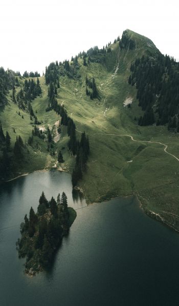 Обои 600x1024 Швейцария, озеро, горы, зеленый