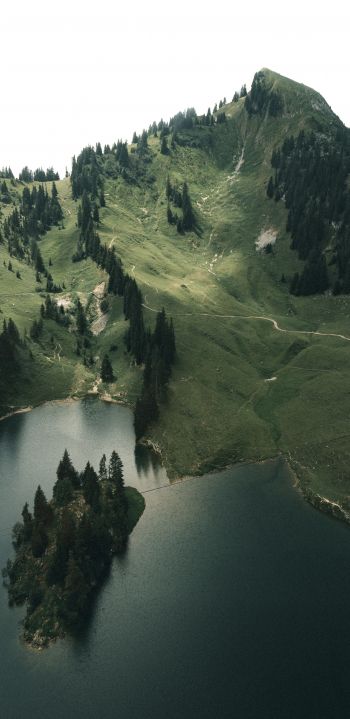 Обои 1080x2220 Швейцария, озеро, горы, зеленый