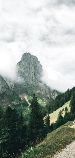 mountains, forest, green, clouds Wallpaper 1080x2280