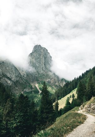 mountains, forest, green, clouds Wallpaper 1640x2360