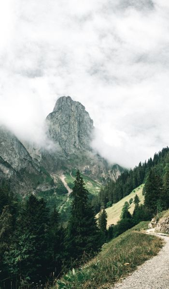 mountains, forest, green, clouds Wallpaper 600x1024