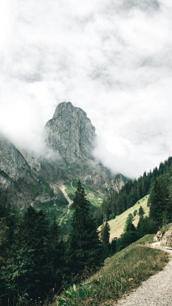 mountains, forest, green, clouds Wallpaper 640x1136
