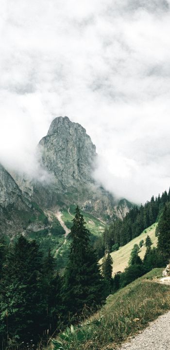 mountains, forest, green, clouds Wallpaper 1080x2220