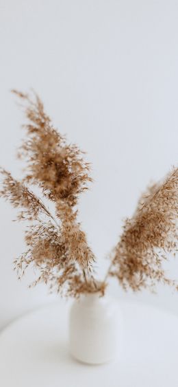 vase, plant, white Wallpaper 1080x2340