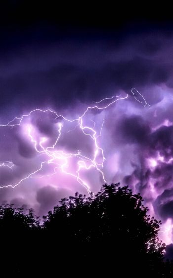 thunderstorm, lightning, night Wallpaper 1200x1920