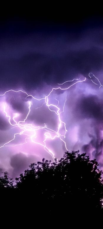 thunderstorm, lightning, night Wallpaper 1080x2400