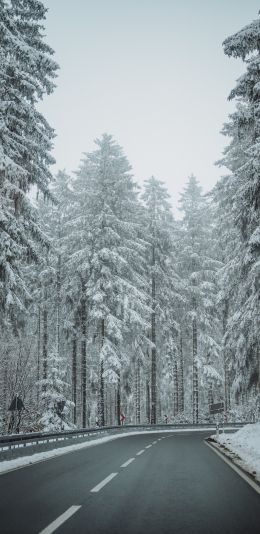 forest, road, winter Wallpaper 1080x2220