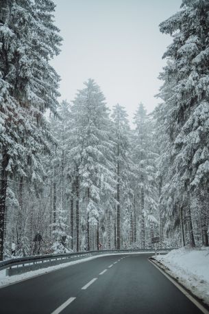 forest, road, winter Wallpaper 640x960