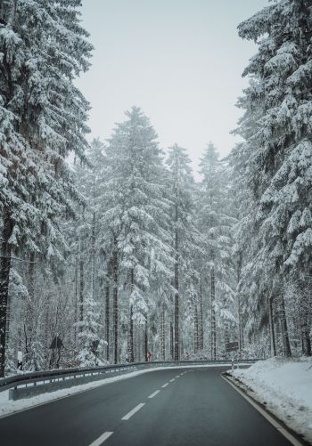 forest, road, winter Wallpaper 1668x2388