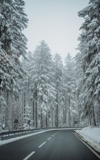 forest, road, winter Wallpaper 1752x2800