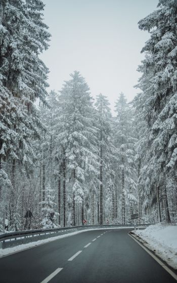 forest, road, winter Wallpaper 1200x1920