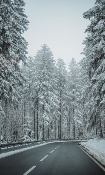 forest, road, winter Wallpaper 1200x2000