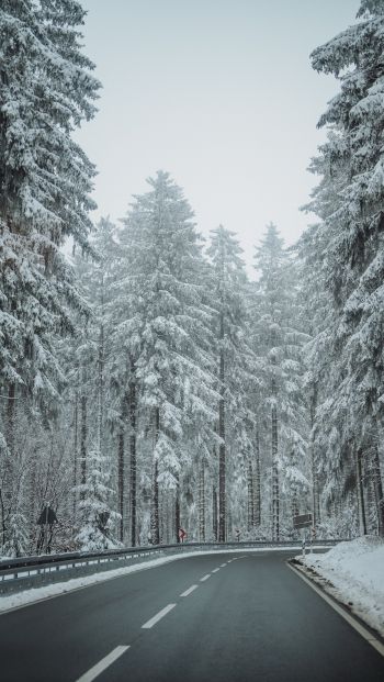 Обои 640x1136 лес, дорога, зима