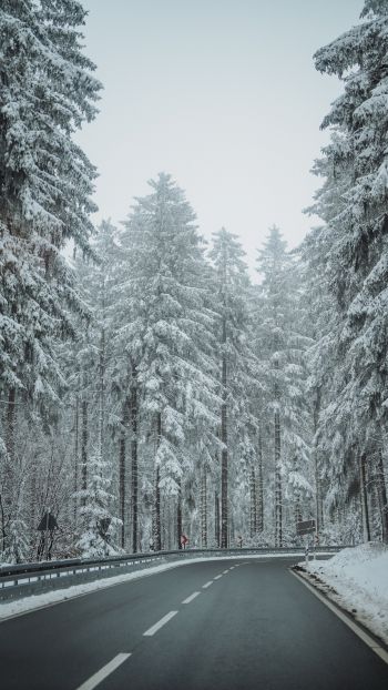 forest, road, winter Wallpaper 1080x1920