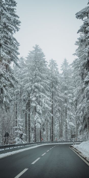 forest, road, winter Wallpaper 720x1440