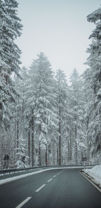 Обои 1080x2220 лес, дорога, зима