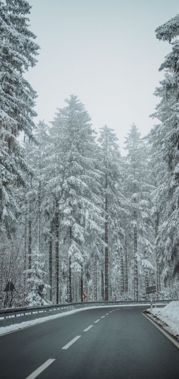 Обои 1080x2280 лес, дорога, зима