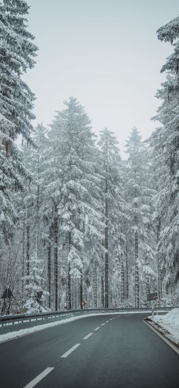 forest, road, winter Wallpaper 1242x2688