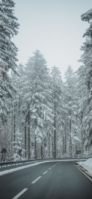 Обои 1080x2340 лес, дорога, зима