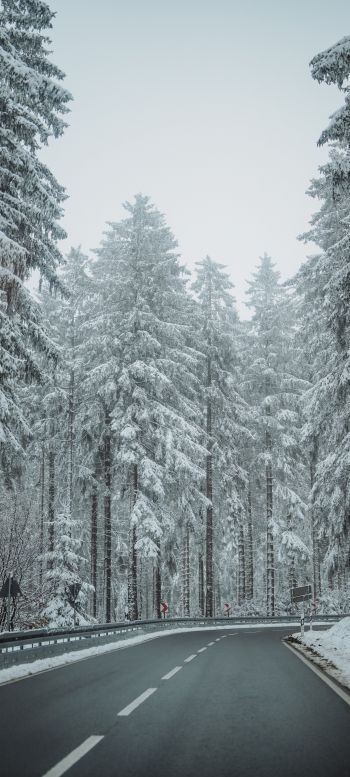 Обои 1080x2400 лес, дорога, зима