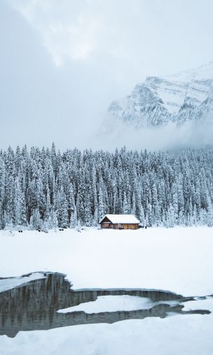 mountains, winter, house, forest Wallpaper 1200x2000