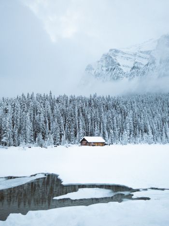mountains, winter, house, forest Wallpaper 1668x2224