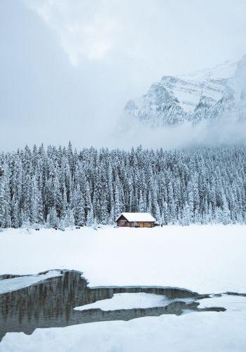 mountains, winter, house, forest Wallpaper 1668x2388
