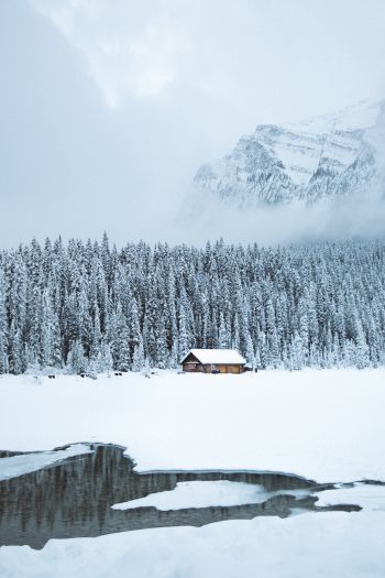 mountains, winter, house, forest Wallpaper 640x960