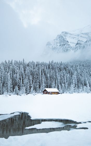 mountains, winter, house, forest Wallpaper 800x1280