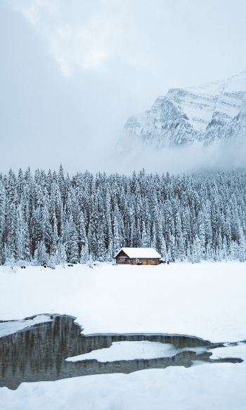 mountains, winter, house, forest Wallpaper 1200x2000