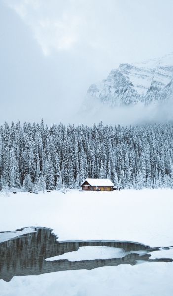 mountains, winter, house, forest Wallpaper 600x1024