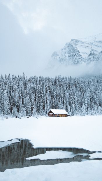 mountains, winter, house, forest Wallpaper 640x1136