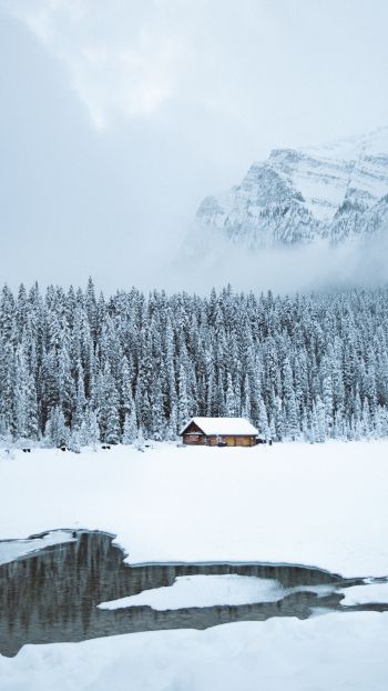mountains, winter, house, forest Wallpaper 2160x3840