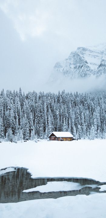 mountains, winter, house, forest Wallpaper 1440x2960