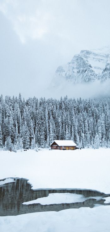 mountains, winter, house, forest Wallpaper 1440x3040
