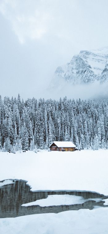 mountains, winter, house, forest Wallpaper 828x1792