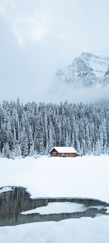 mountains, winter, house, forest Wallpaper 1440x3200