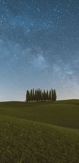 Tuscany, Italy, night Wallpaper 1440x2960