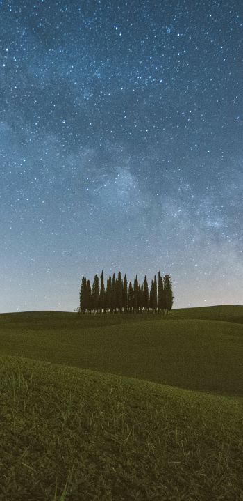 Tuscany, Italy, night Wallpaper 1440x2960